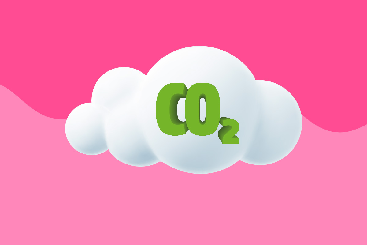 Entenda a compensação de CO2 e como o JAH adquiriu o Certificado CleanWay REDD+