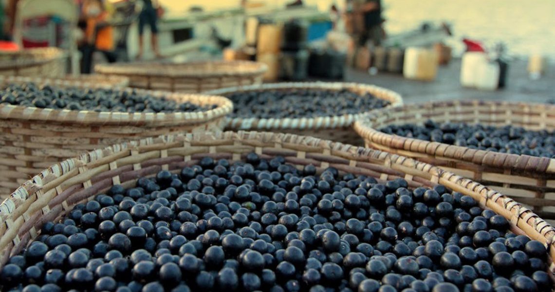 Benefícios do açaí para a saúde