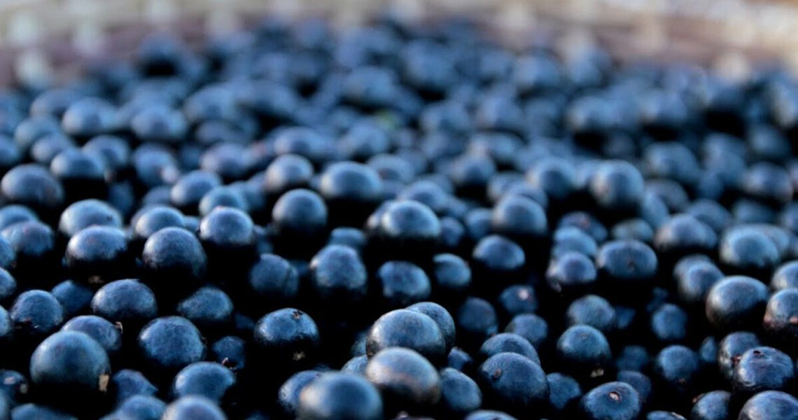 Descubra como e porque investir em uma franquia de açaí