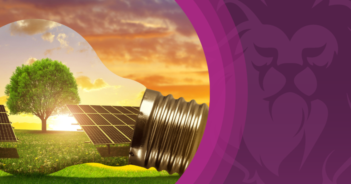 SUSTENTABILIDADE: Uma ideia que vale a pena cultivar