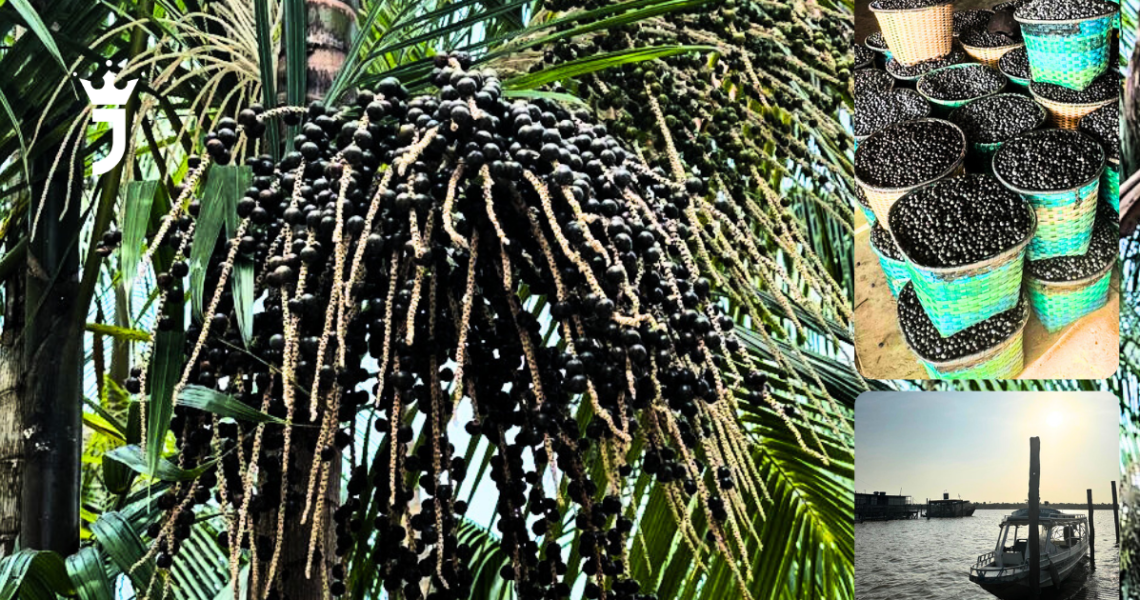 Açaí: O Tesouro Amazônico Que Está Só Começando — E o JAH Está No Coração Dessa Revolução
