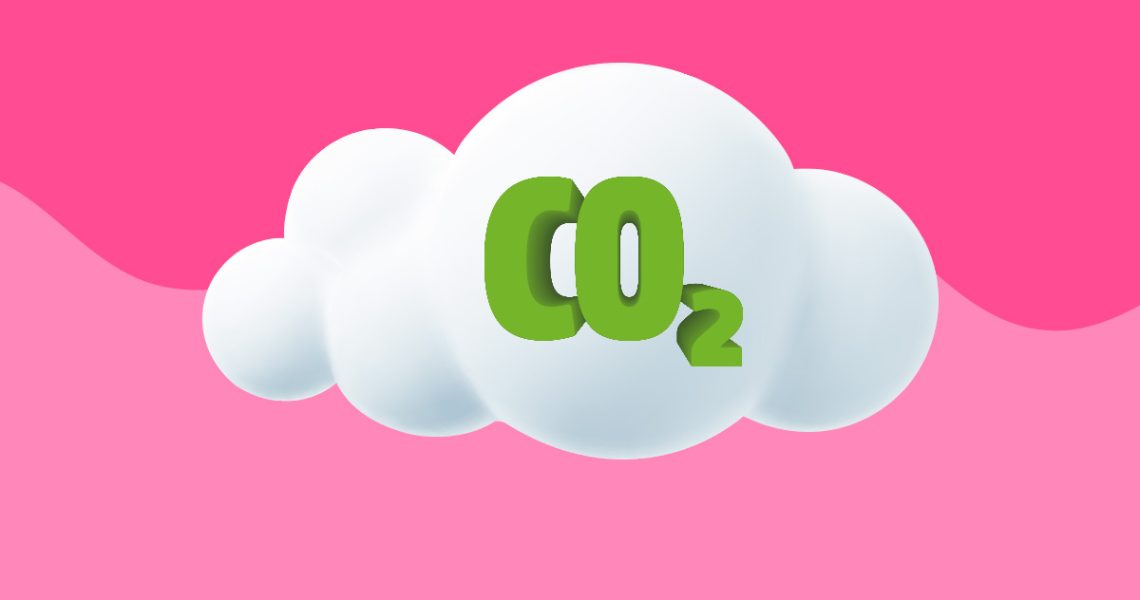 Entenda a compensação de CO2 e como o JAH adquiriu o Certificado CleanWay REDD+